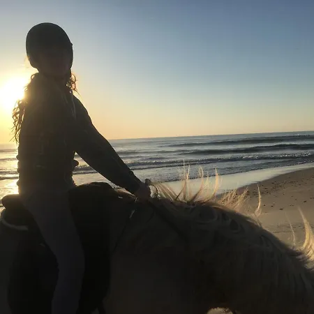 Lejlighedshotel Rikke Og Franks Svineri 2 *